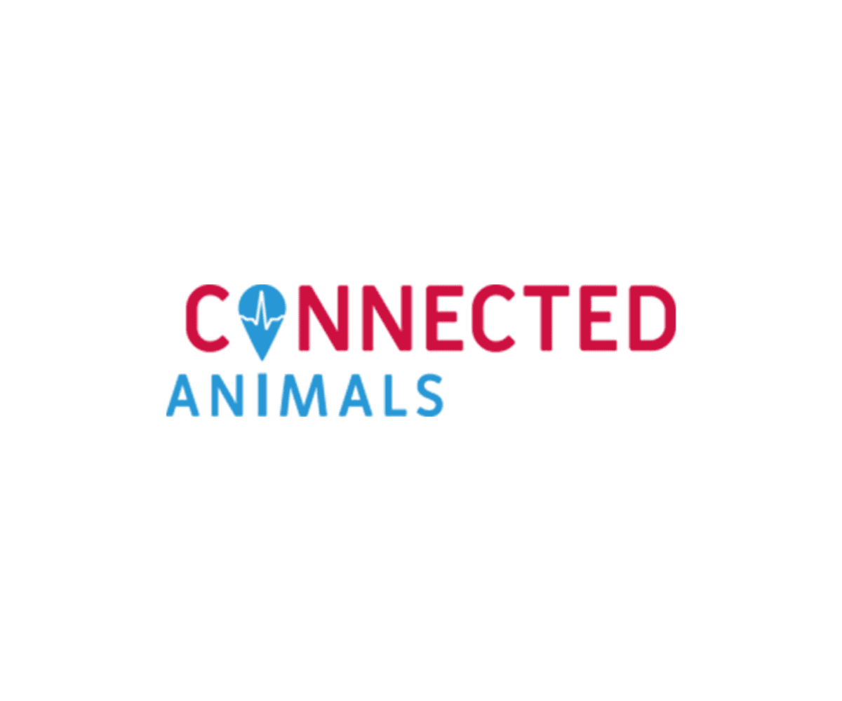 connected animals