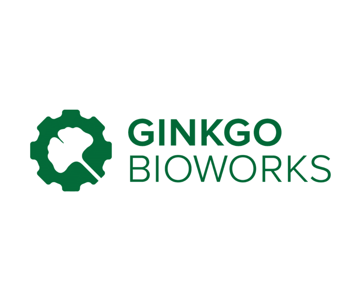 ginkgo