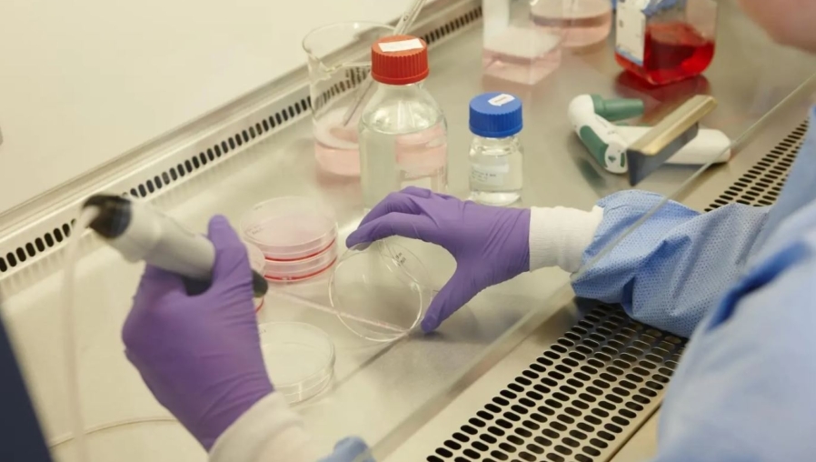 Lab, ondezoek, pipet