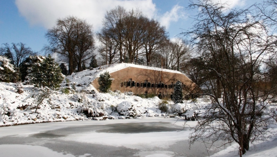Botanische Tuinen winter