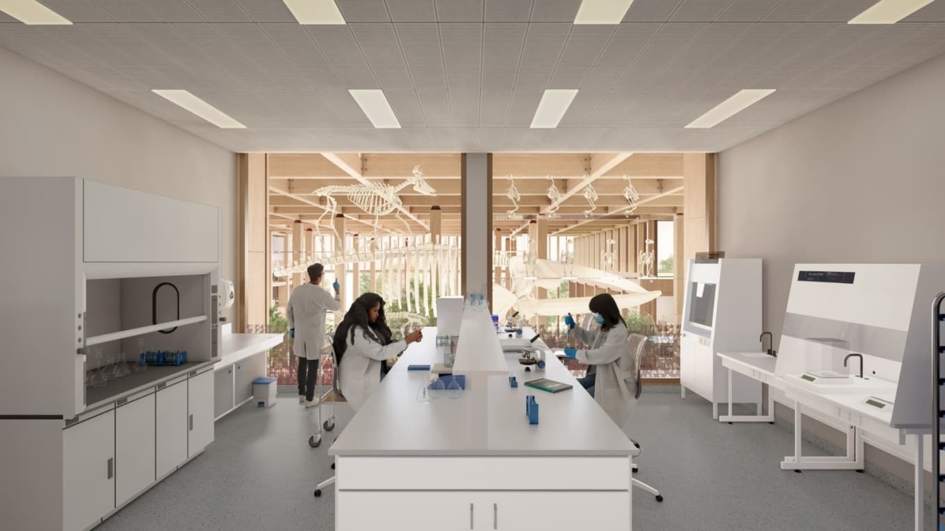 impressie labs, diergeneeskunde