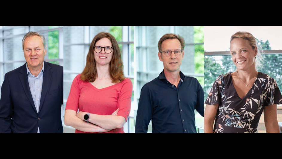 ZonMw grants for group leaders Den Hertog, Mattiroli, Bakkers and Van Rooij