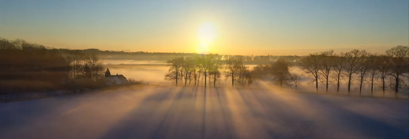 World Poetry Day - Poem How the light falls for Utrecht Science Park