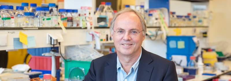 Ground breaking stem-cell researcher Hans Clevers