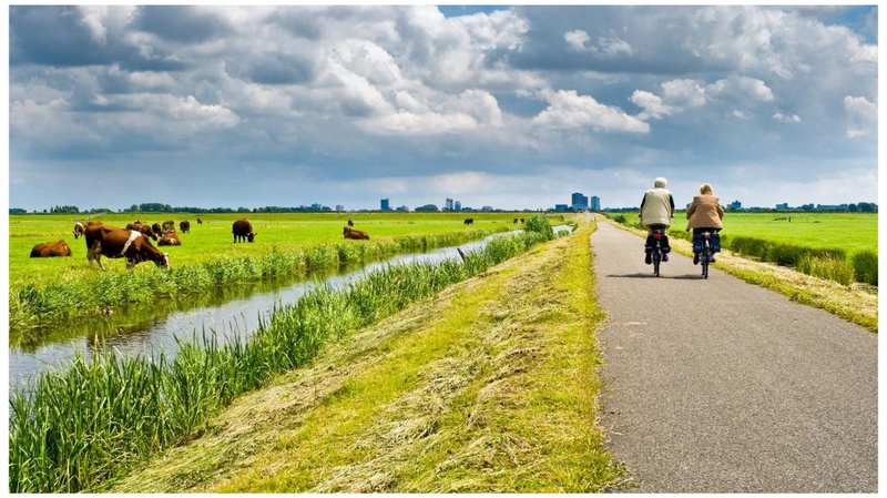 Openbare lezing Cathryn Tonne: Planetaire gezondheid en de lucht die we inademen