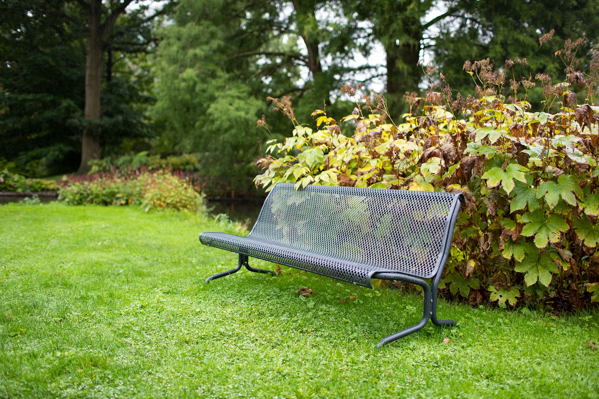 Doneer een bankje in de Botanische Tuinen